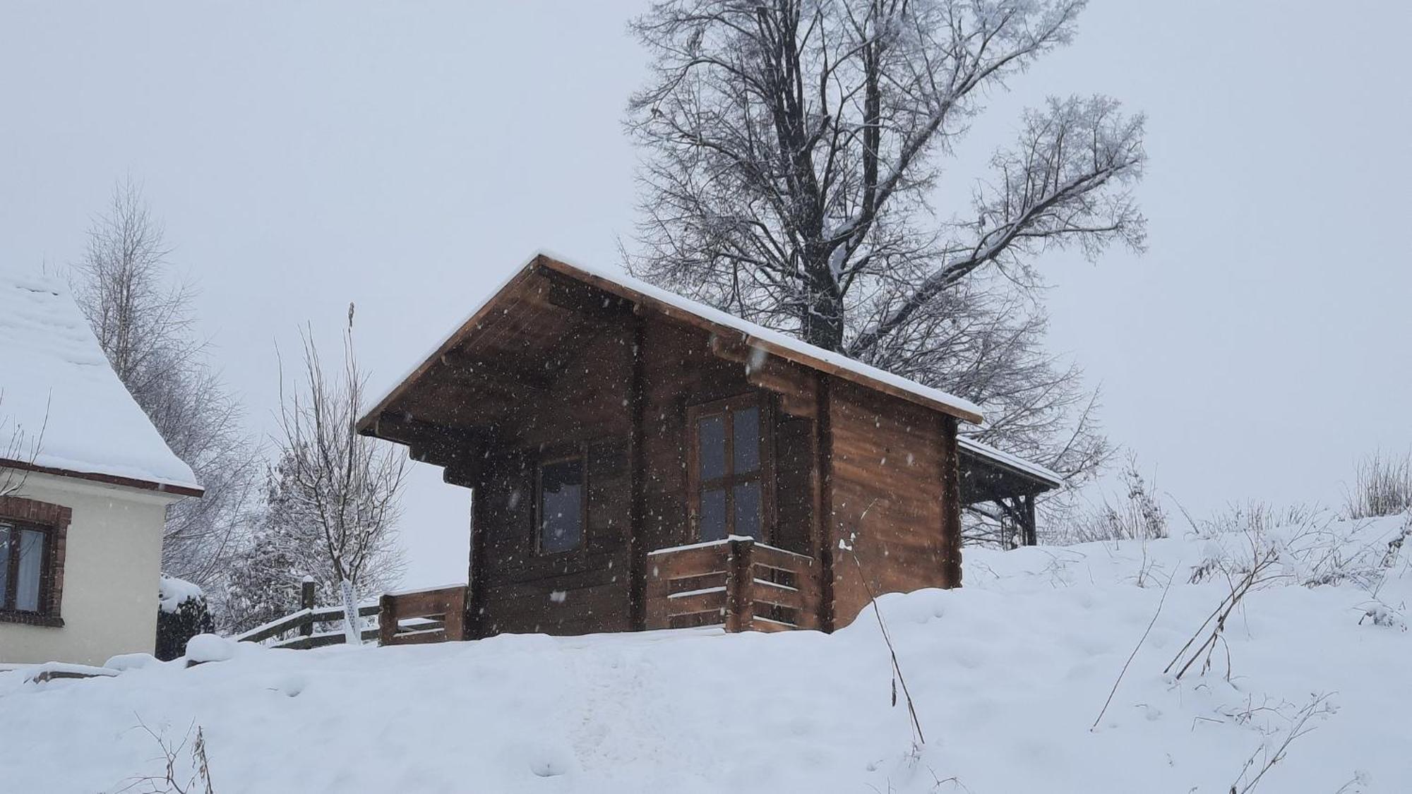 Cottage Bara Božanov المظهر الخارجي الصورة